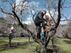 44 Capicua viendo los almendros en flor